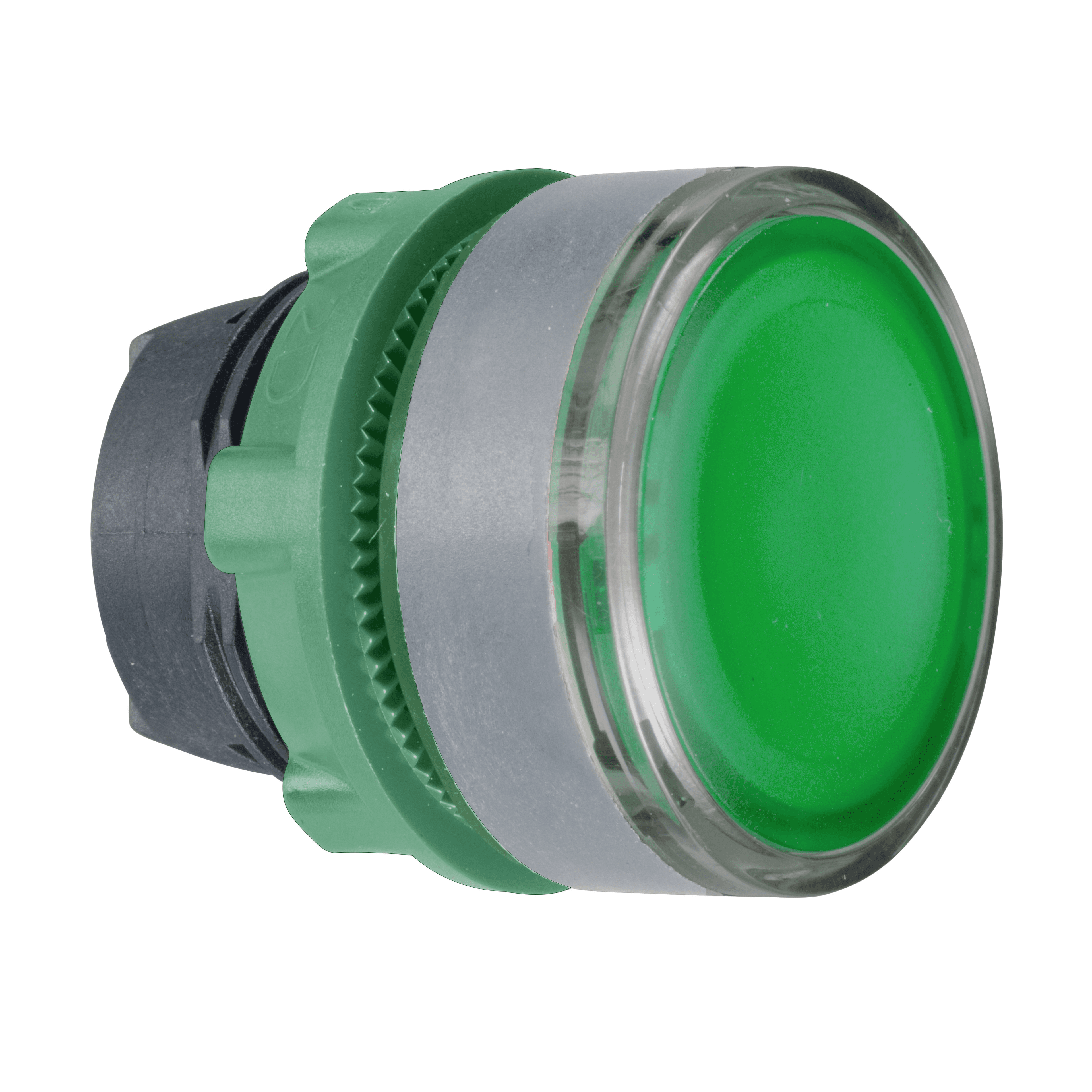 Head for non illuminated push button, Harmony XB5, green flush, 22mm, spring return, unmarked