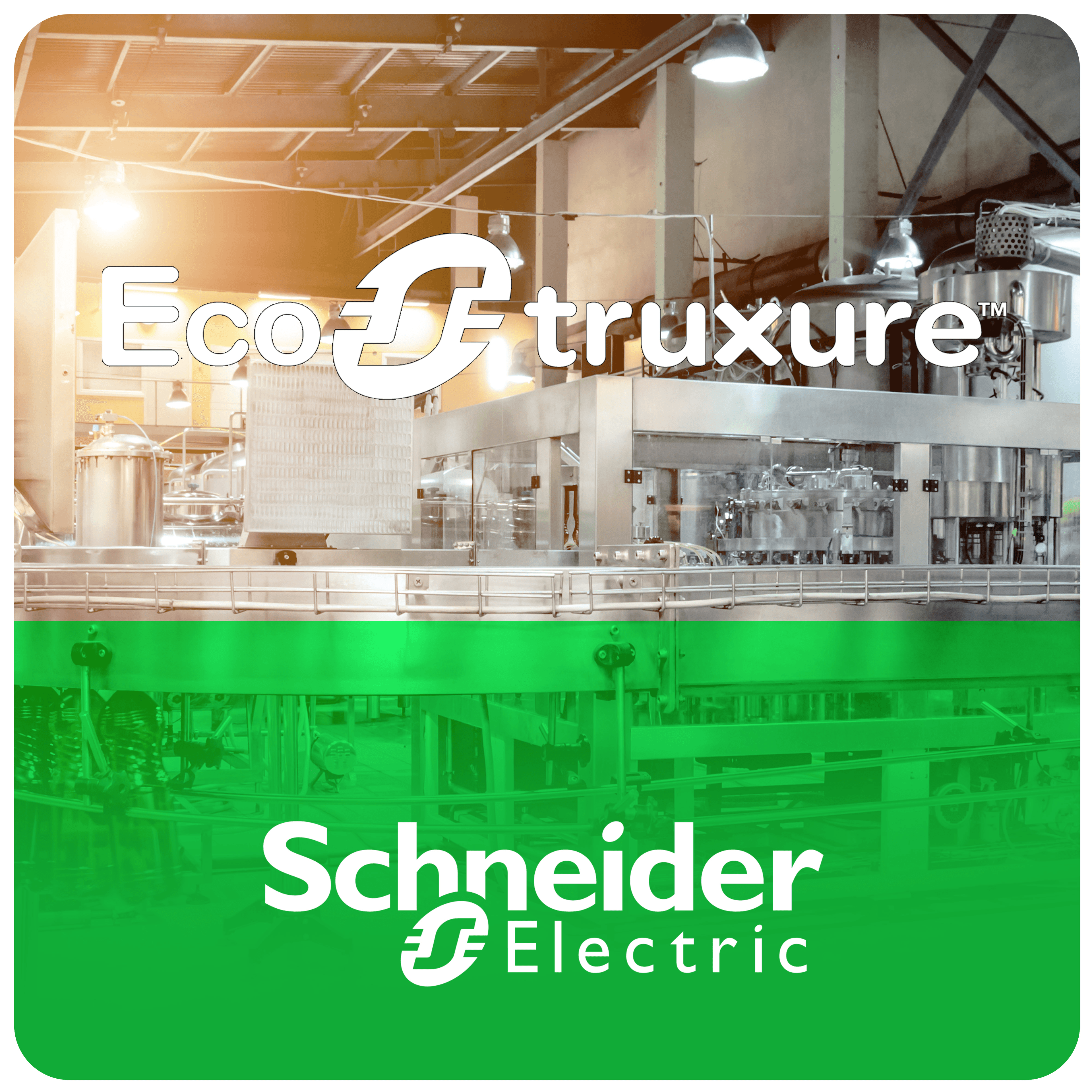 Digital ASi license, EcoStruxure Machine Expert, Safety Single(1)