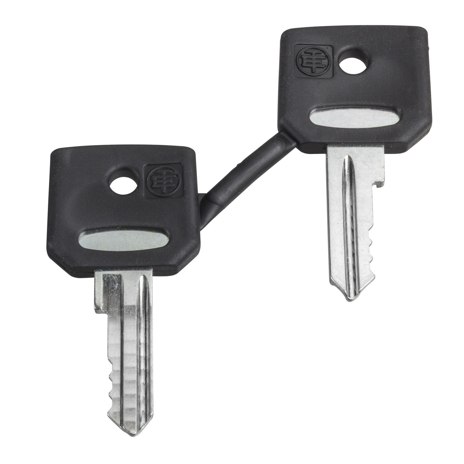 Key, Harmony XB4, emergency stop push button, key 458A, set of 2 keys