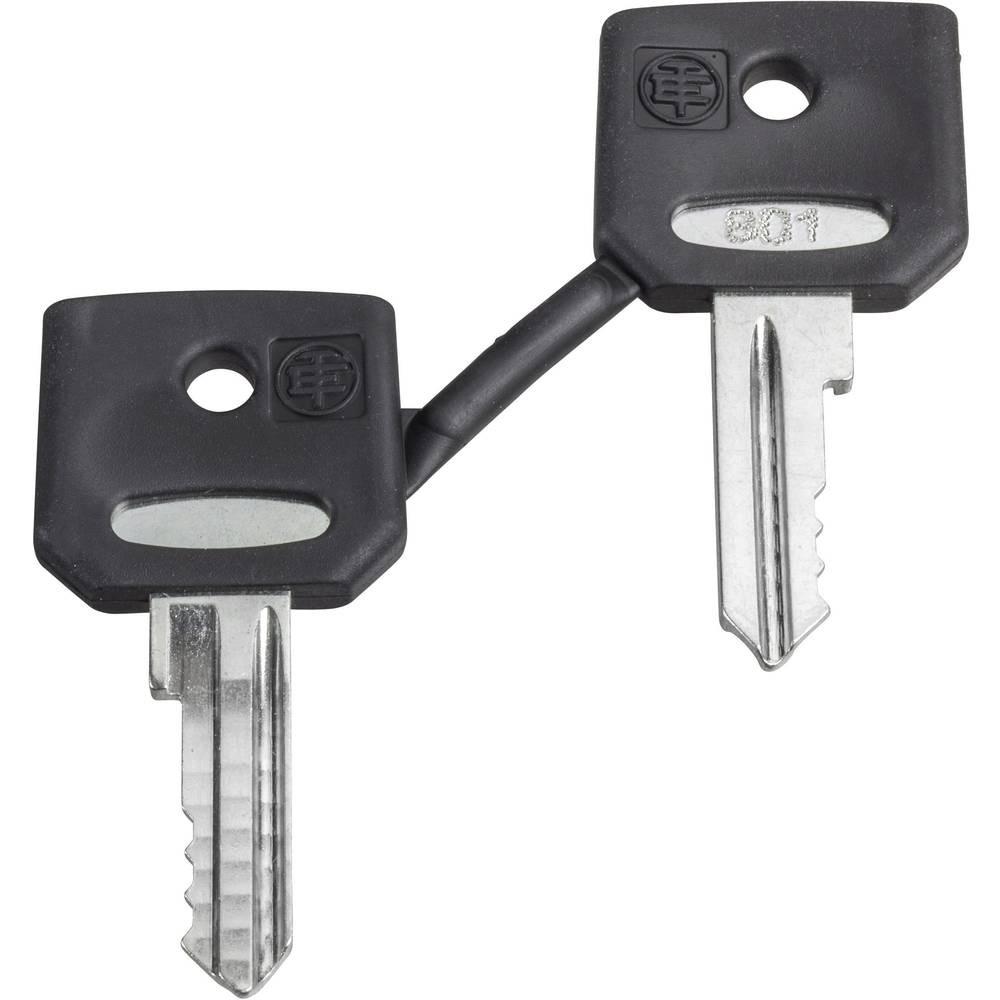 Key, Harmony XB4, replacement accessory, for selector switch and emergency stop push button, Dom 8D1, set of 2 keys