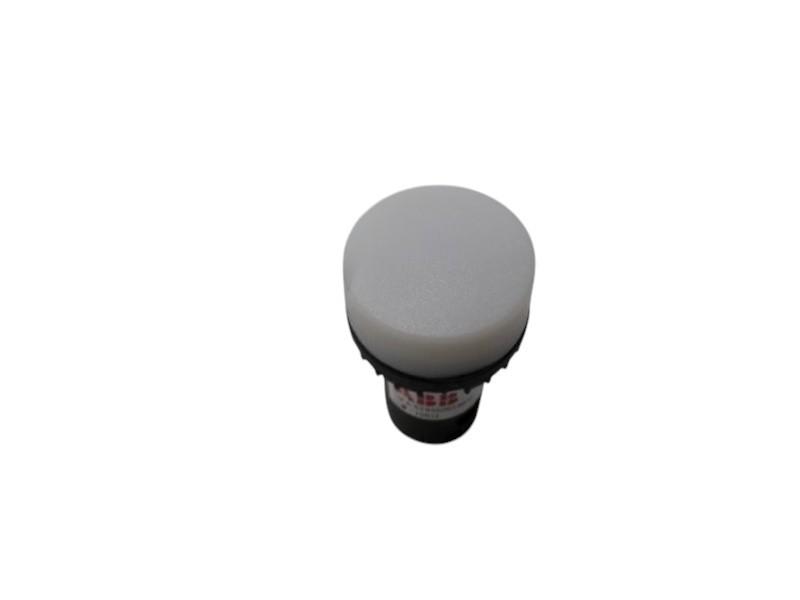 CL-100W Pilot Light
