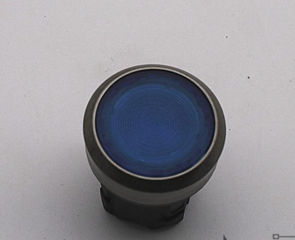ILLUMINATED PUSHBUTTON, MOM, BLU, FLUSH