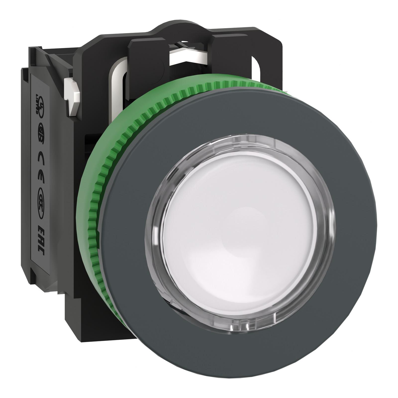Illuminated push button, Harmony XB5, antimicrobial, plastic, white, 30mm, universal LED, 1NO + 1NC, 110...120V AC
