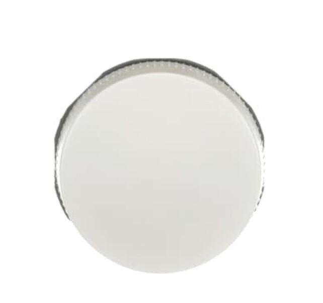 ML1-100W Pilot Light