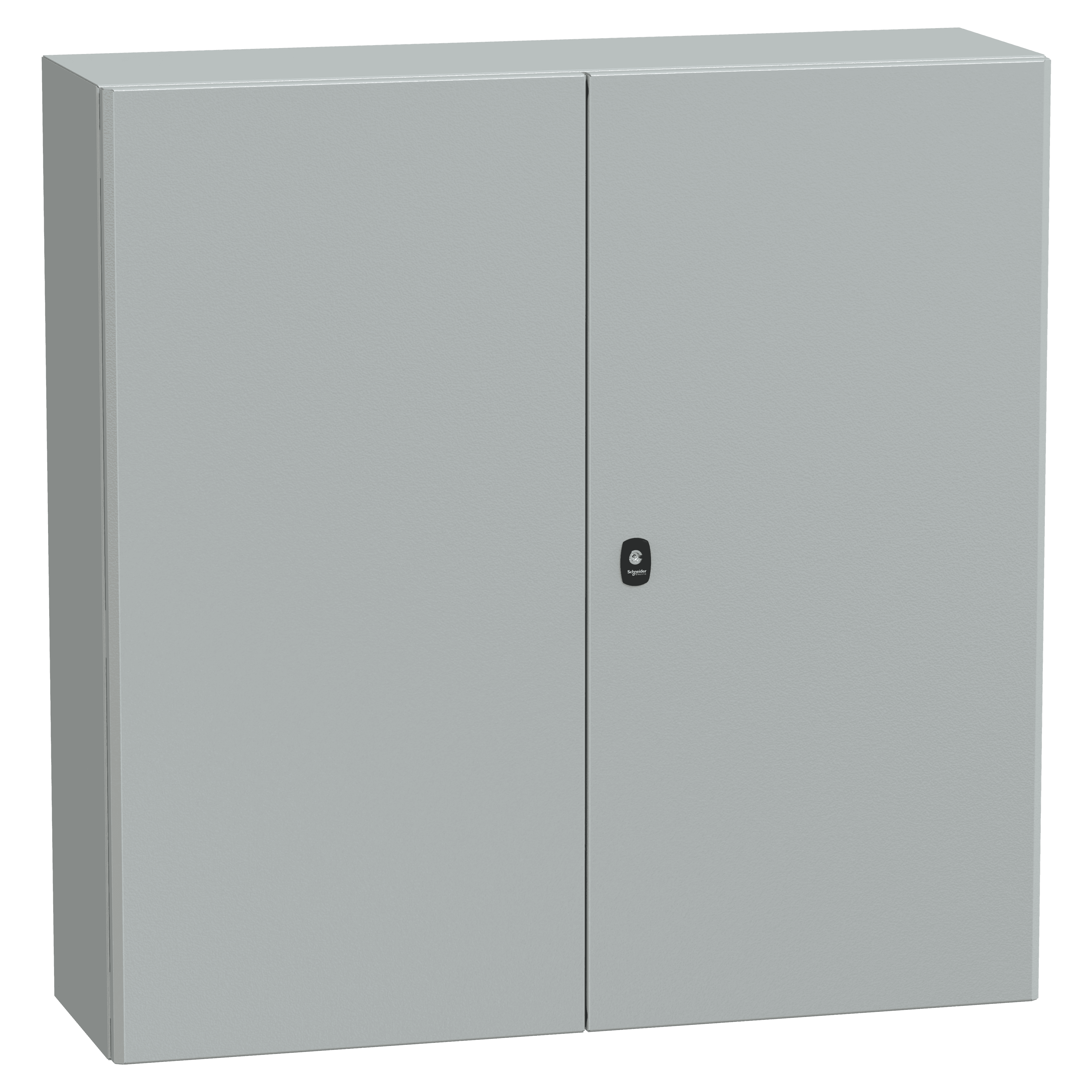 Wall mounted steel enclosure, Spacial S3D, double plain door, with mounting plate, 1000x1000x300mm, IP55, IK10