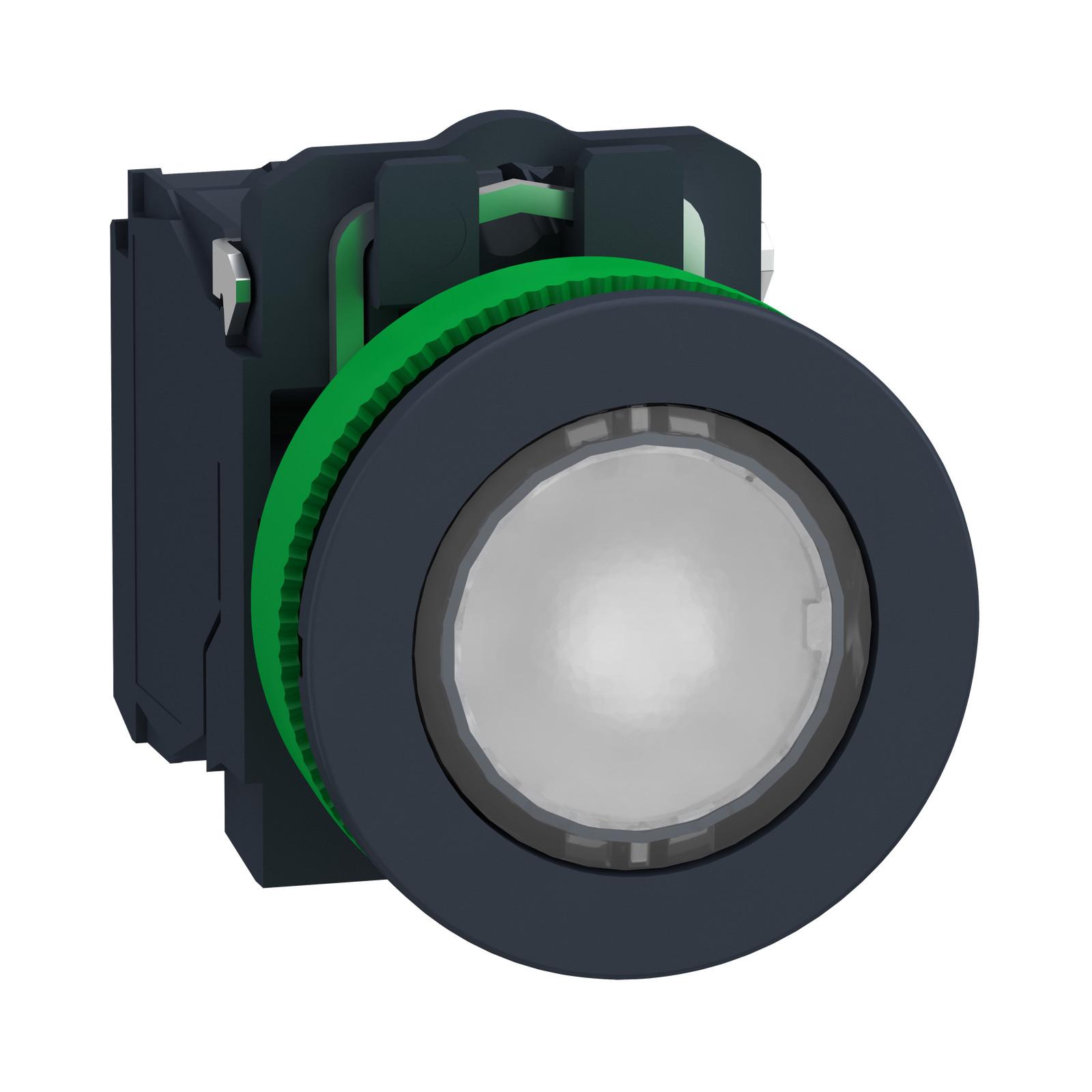Illuminated push button, Harmony XB5, antimicrobial, plastic, white flush, 22mm, integral LED, 24V AC, 1NO + 1NC, for customization