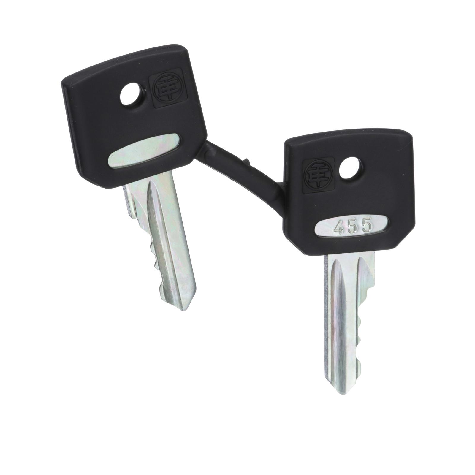 Harmony, 22mm Push Button, replacemnet keys, set of two 455 keys