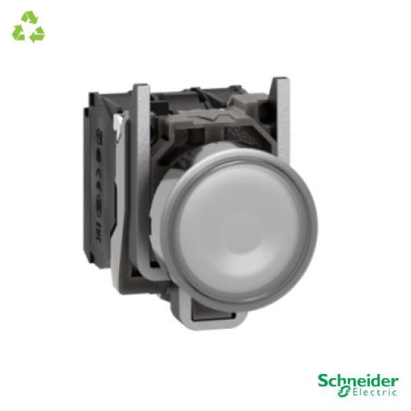 Illuminated push button, Harmony XB4, metal, white flush, 22mm, universal LED, plain lens, 1NO + 1NC, 110...120V AC
