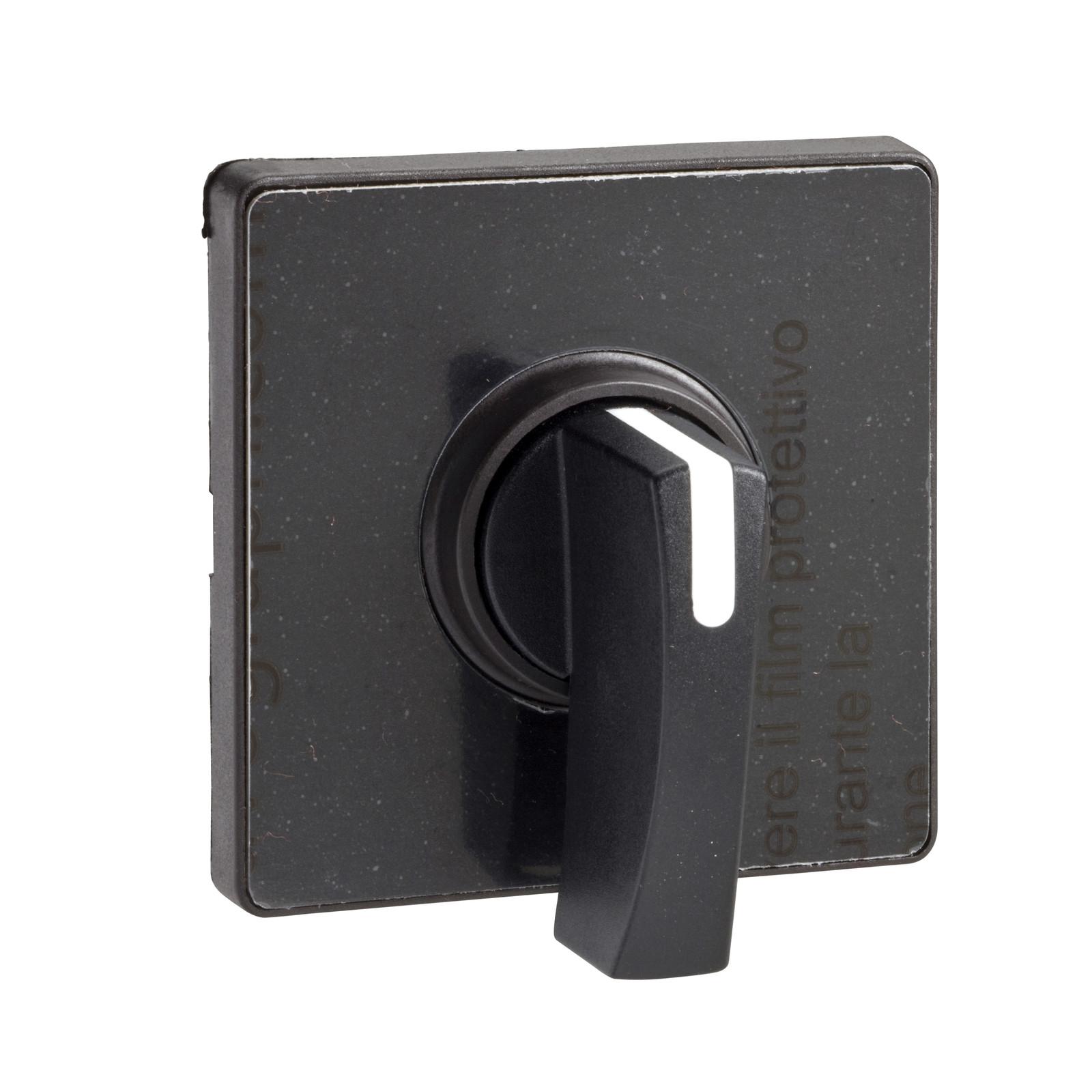 Cam switch operating head, Harmony K, for 22mm, plastic, 60x60mm plate, matt black legend, black handle