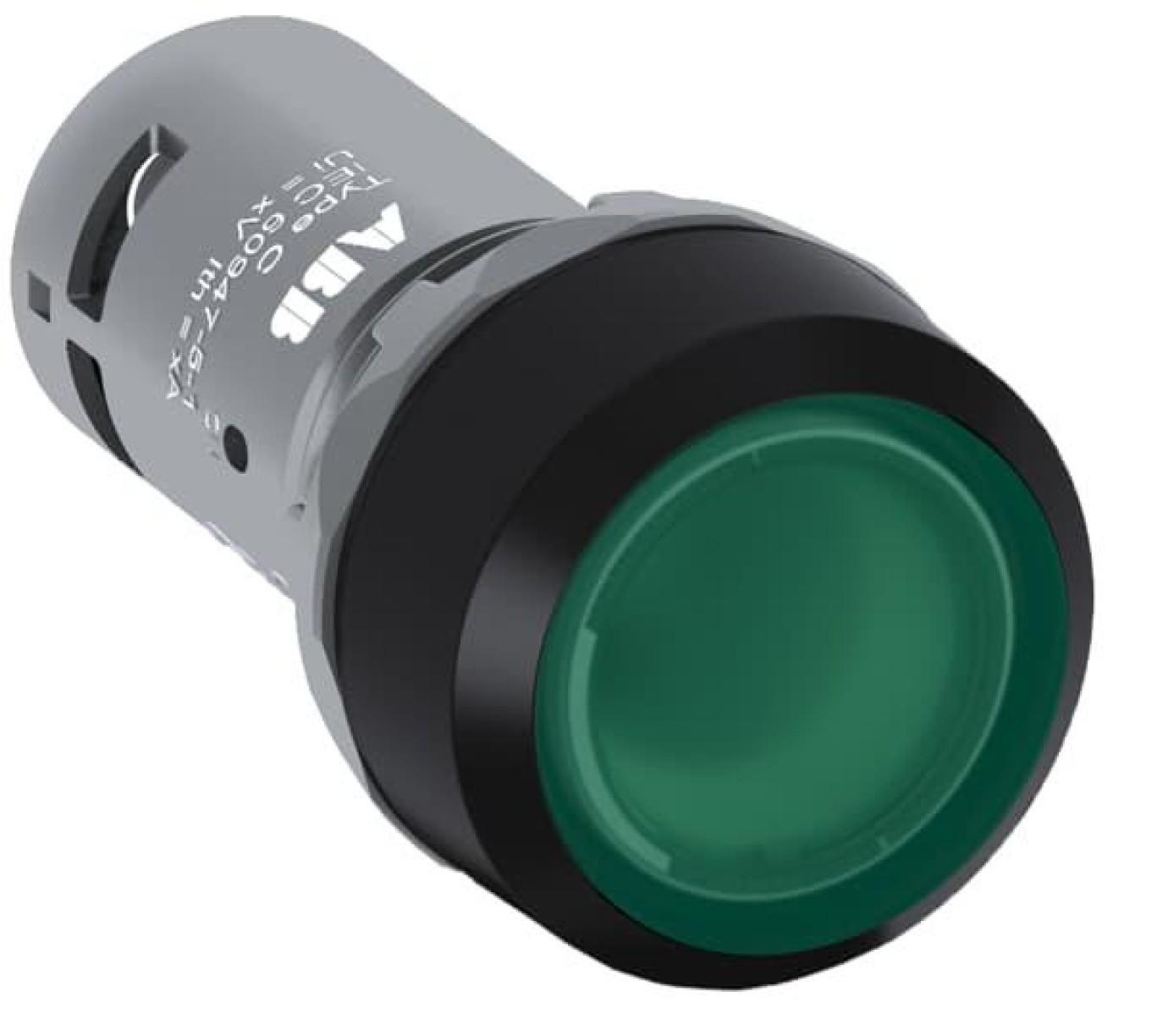 CP1-13G-10 Pushbutton