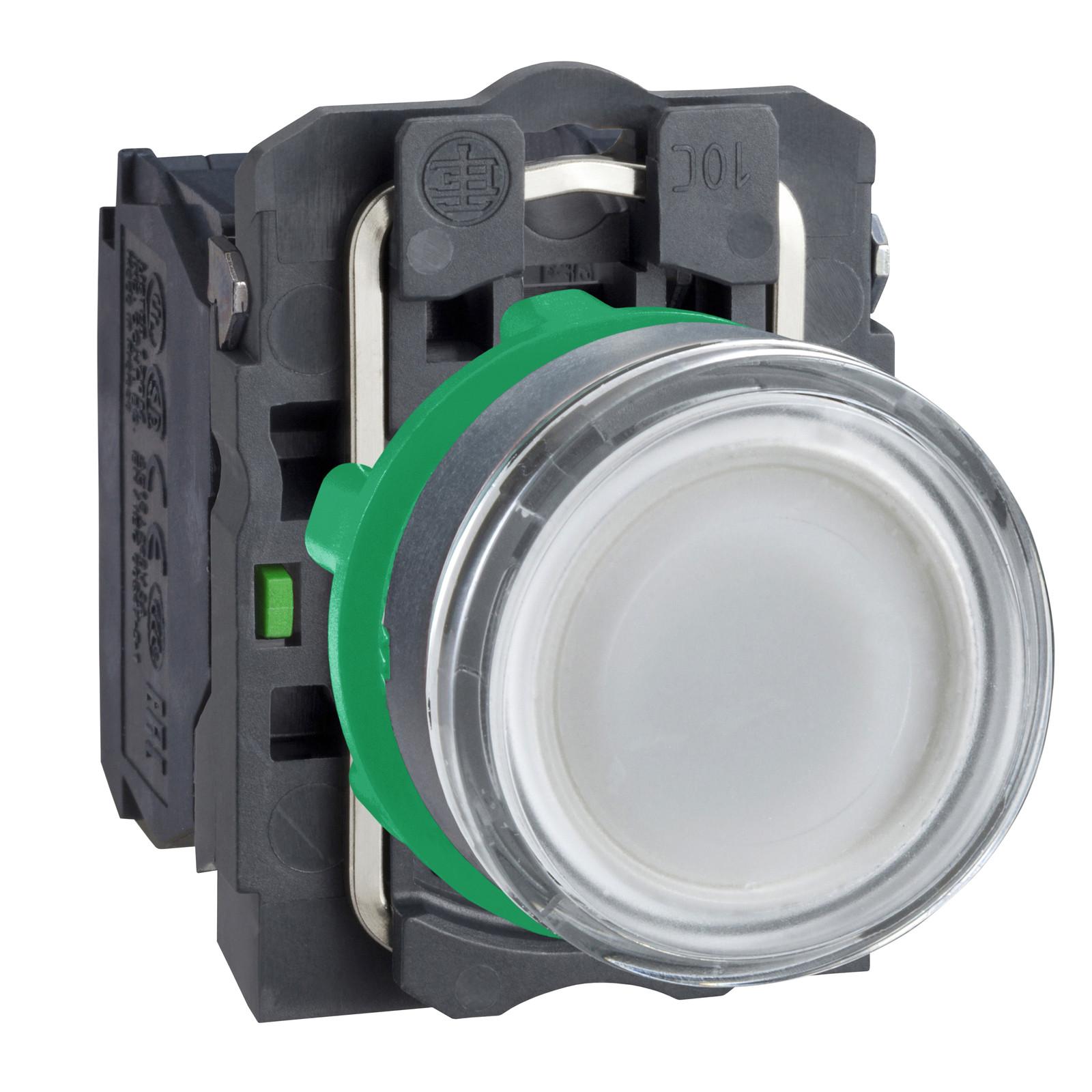 Illuminated push button, Harmony XB5, white flush, plastic, 22mm, spring return, 1NO + 1NC, 250V