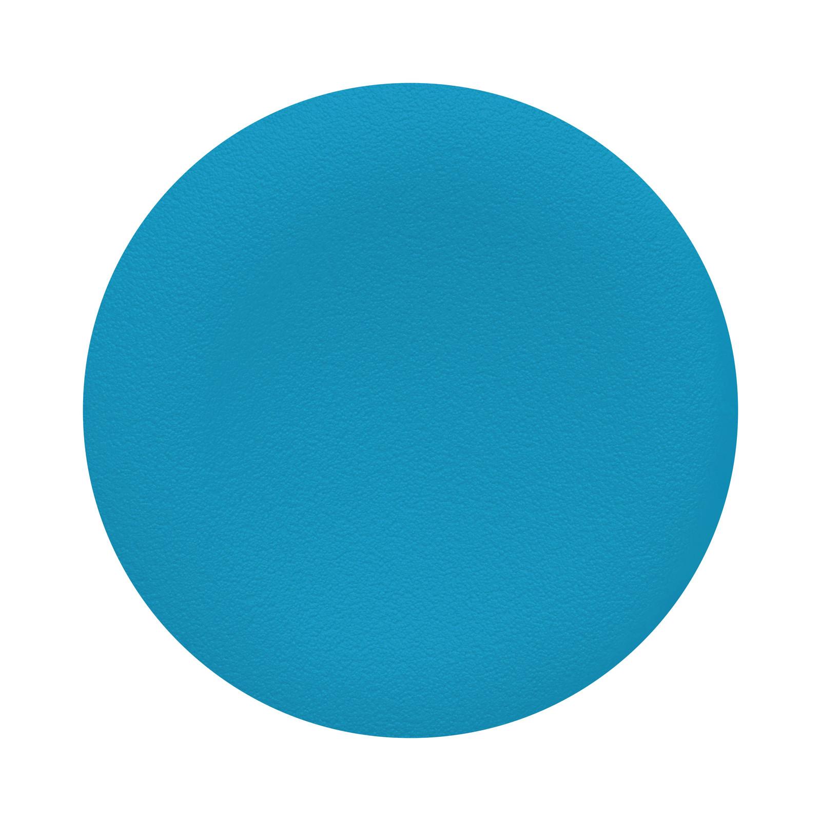 blue cap unmarked for circular flush pushbutton Ø22