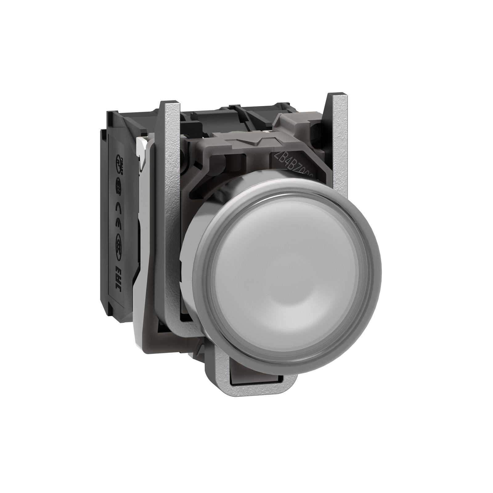 Illuminated push button, Harmony XB4, metal, white flush, 22mm, universal LED, plain lens, 1NO + 1NC, 230...240V AC