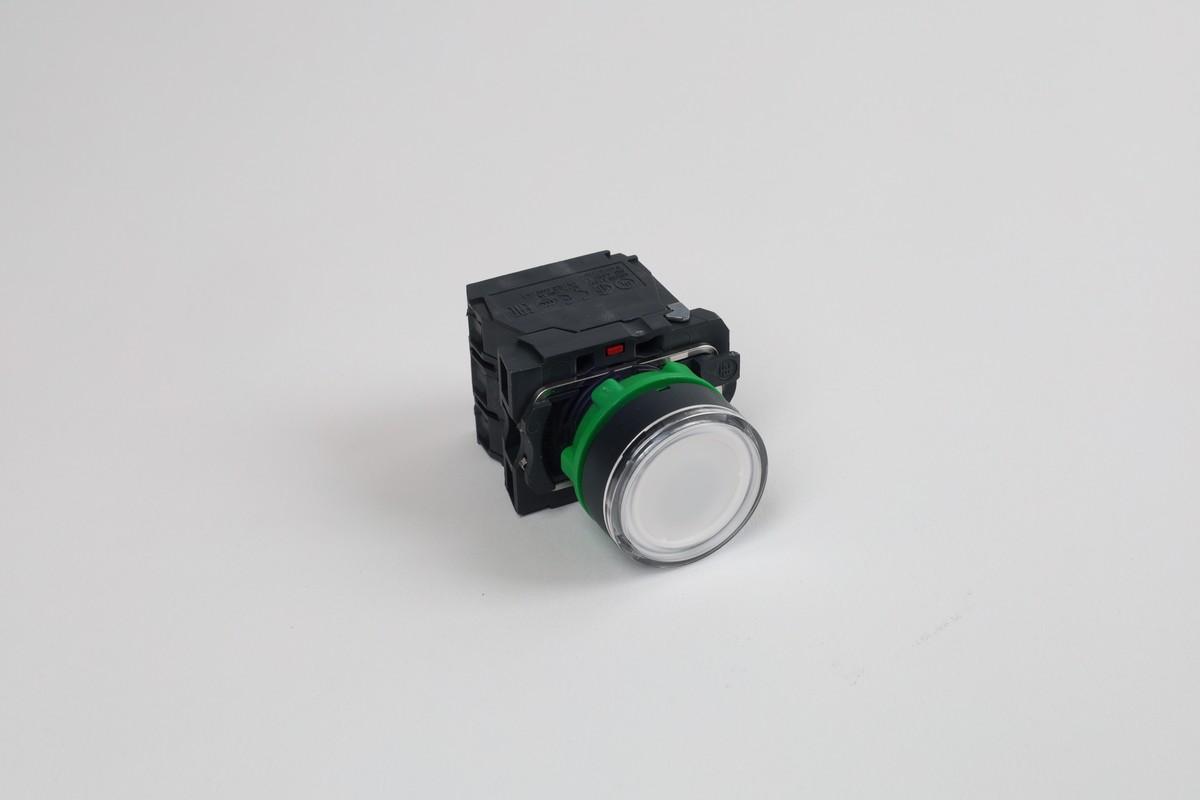 Illuminated push button, Harmony XB5, plastic, white flush, 22mm, universal LED, plain lens, 1NO + 1NC, 24V AC DC