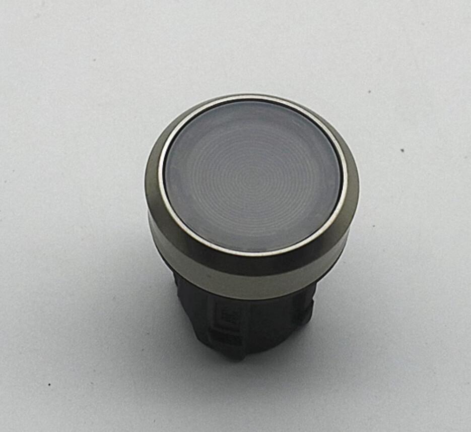 ILLUMINATED PUSHBUTTON, MOM, WHT, FLUSH