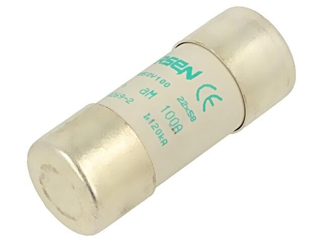 NFC cartridge fuses, TeSys GS, cylindrical, 22mm x 58mm, fuse type aM, 500VAC, 100A, without striker