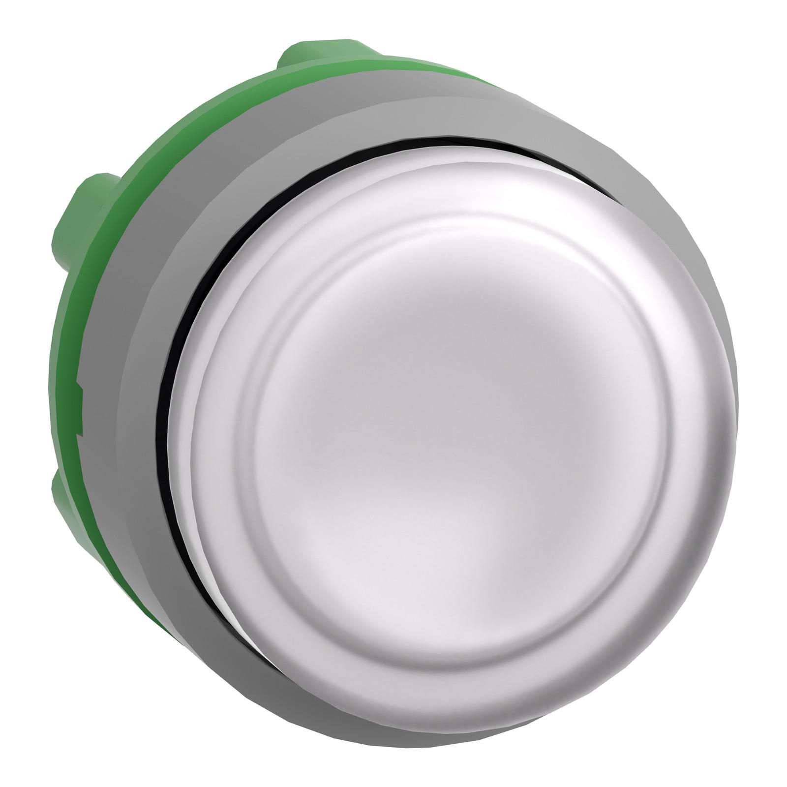 ZB5AH13C0 t�te BP pous-pous lumin blanc