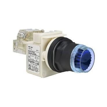 30mm push button, Type SK, illuminated momentary, no guard, 120VAC light module, no contacts, no lens cap, NEMA 4, 4X