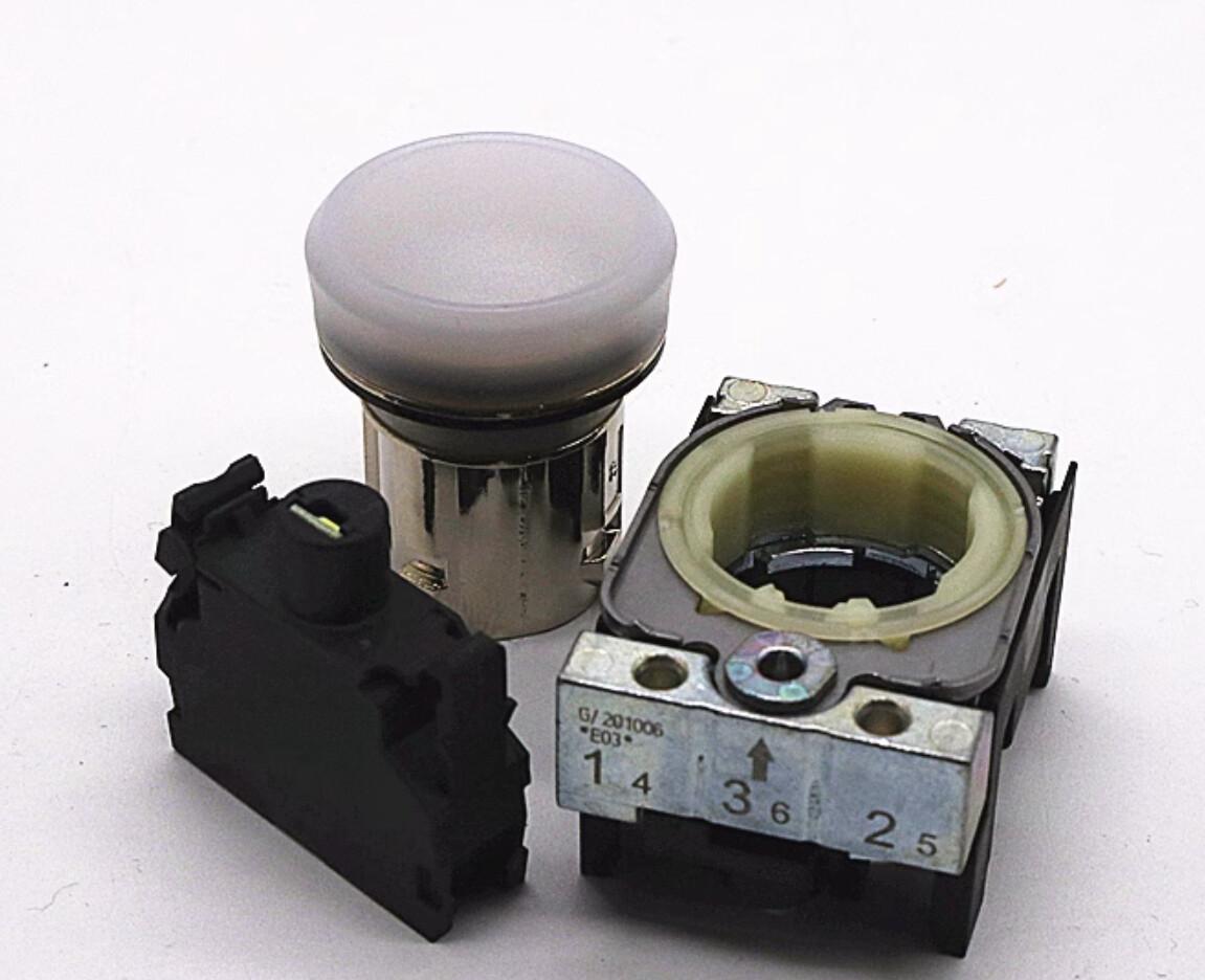 INDICATOR LIGHT, LED WHITE, 110V AC